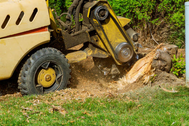 Mannford, OK Tree Service Company